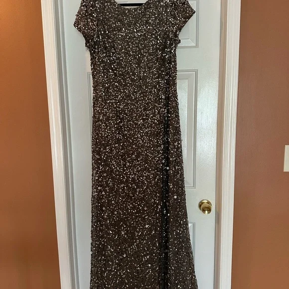 Adrianna Papell Sequin Maxi Dress